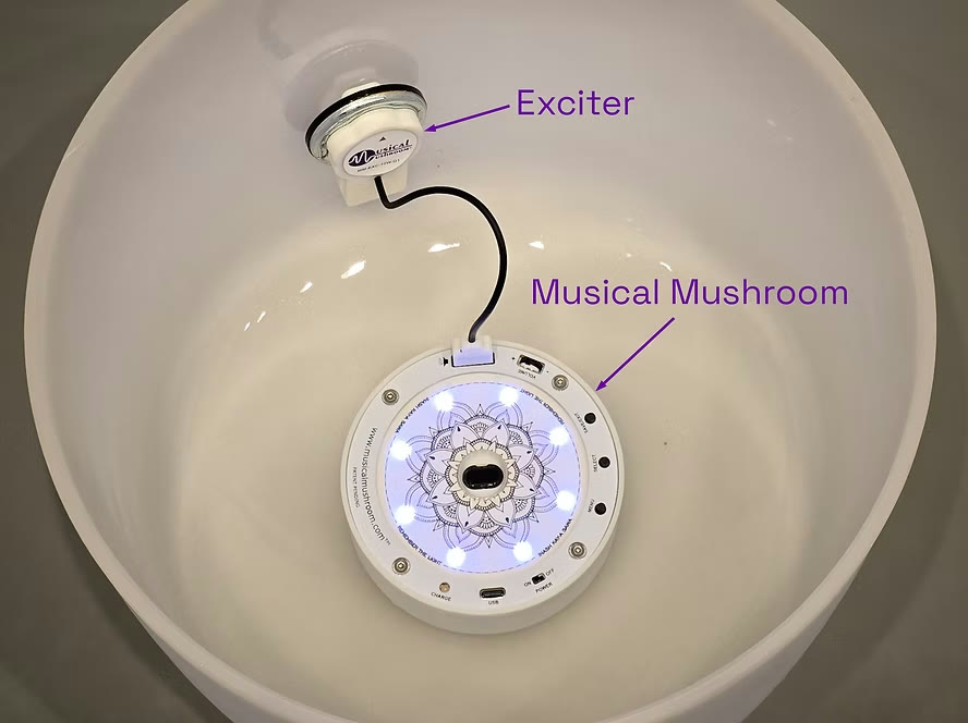 The exciter and the Musical Mushroom connected inside a bowl