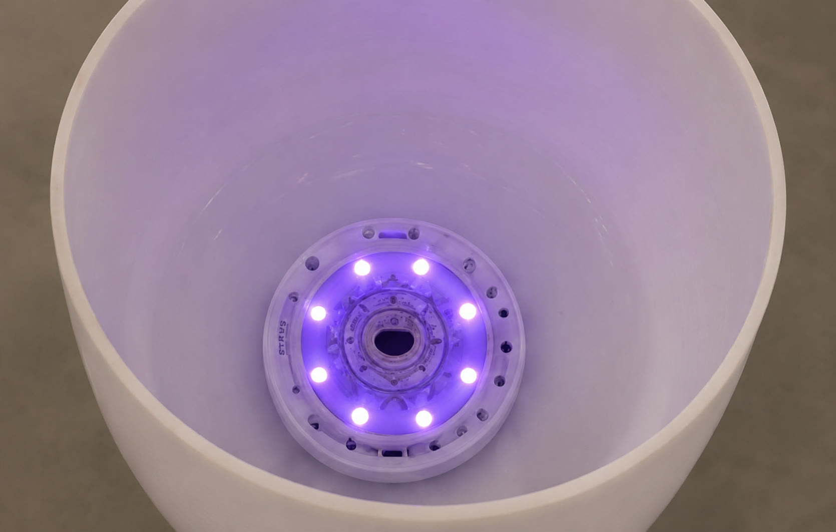 The Musical Mushroom glowing inside a crystal bowl